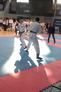 IMG 1159 (683x1024)