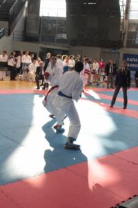 IMG 1160 (683x1024)