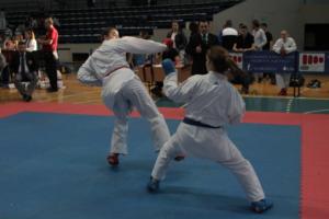 IMG 1363 (1024x683)