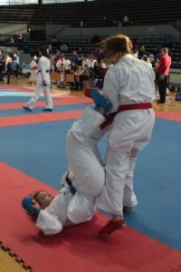 IMG 1382 (683x1024)