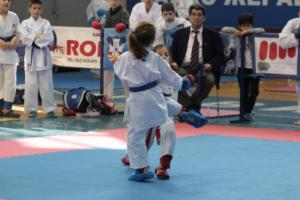 IMG 0862 (1024x683)